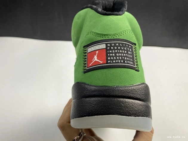 Rep Oregon 5 CK6631-307 SE Ducks Jordan Air 0716